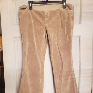 Motherhood Medium Maternity Corduroy Pants, Tan